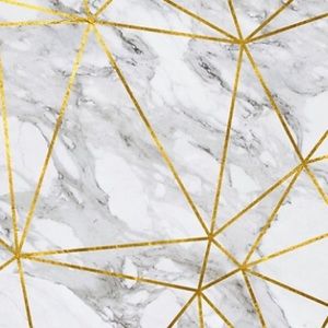 Meet your Posher, Lily